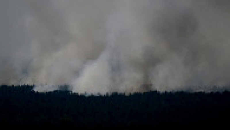Un incendiu de amploare a cuprins pădurea Grunewald de lângă Berlin, în urma unei explozii la un depozit de muniție al poliției Foto: Profimedia Images | Poza 2 din 14