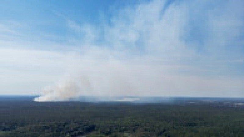 Incendiul de pădure era vizibil de la mare distanță Foto: Profimedia Images | Poza 3 din 14