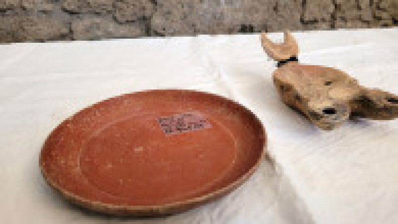 Noi descoperiri arheologice în orașul antic Pompei. FOTO Profimedia Images | Poza 5 din 13