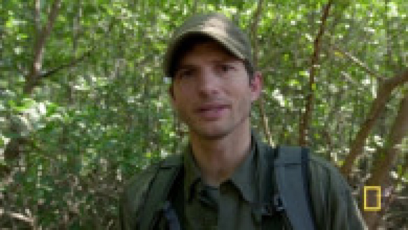 Kutcher i-a spus lui Grylls că i-a luat un an de zile ca să își revină după ce a fost afectat de vasculită. Foto: Profimedia Images | Poza 8 din 22