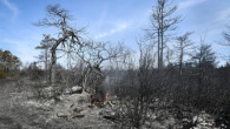 3.000 de persoane, evacuate în sudul Franţei din cauza unui incendiu de vegetaţie. Foto: Profimedia Images | Poza 6 din 11