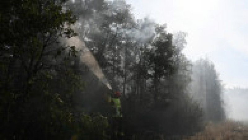 3.000 de persoane, evacuate în sudul Franţei din cauza unui incendiu de vegetaţie. Foto: Profimedia Images | Poza 9 din 11