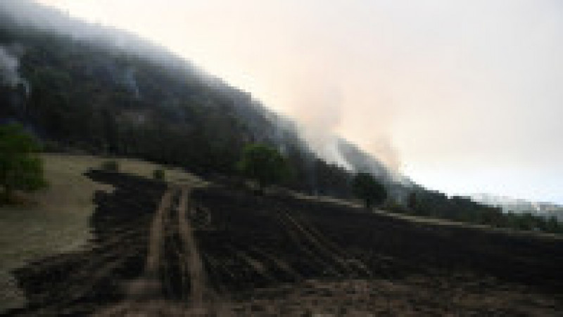 3.000 de persoane, evacuate în sudul Franţei din cauza unui incendiu de vegetaţie. Foto: Profimedia Images | Poza 3 din 11