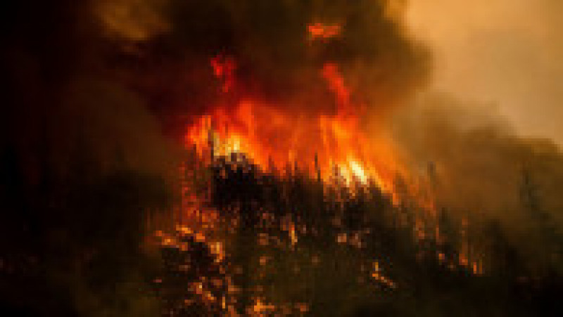 Incendiul „McKinney” este cel mai mare incendiu izbucnit de la începutul anului în California. Foto: Profimedia Images | Poza 18 din 20