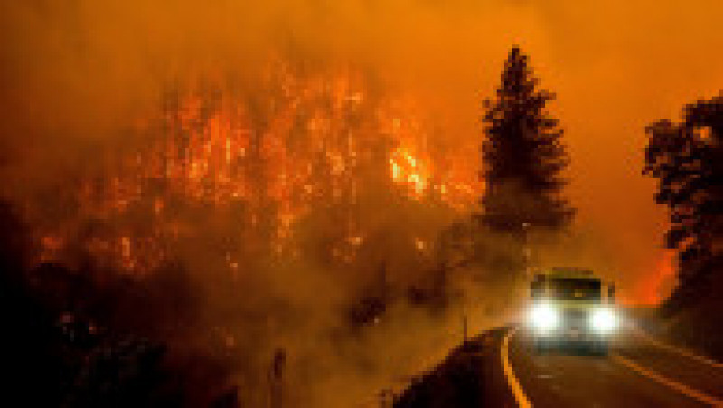 Incendiul, denumit „McKinney Fire”, a distrus peste 20.638 de hectare din Pădurea Naţională Klamath, în apropiere de oraşul Yreka din nordul Californiei Foto: Profimedia Images | Poza 2 din 20