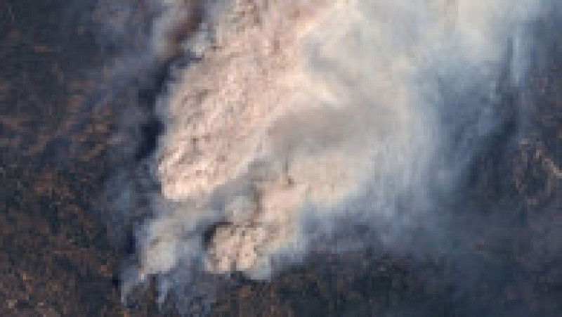 Incendiul, denumit „McKinney Fire”, a distrus peste 20.638 de hectare din Pădurea Naţională Klamath, în apropiere de oraşul Yreka din nordul Californiei Foto: Profimedia Images | Poza 11 din 20
