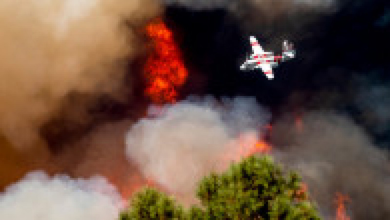 Incendiul, denumit „McKinney Fire”, a distrus peste 20.638 de hectare din Pădurea Naţională Klamath, în apropiere de oraşul Yreka din nordul Californiei Foto: Profimedia Images | Poza 1 din 20