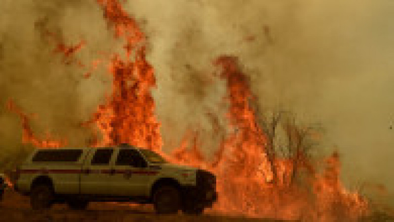 Incendiul „s-a intensificat şi s-a extins din cauza combustibililor uscaţi, a condiţiilor extrem de secetoase, a temperaturilor ridicate, a vânturilor şi a furtunilor”. Foto: Profimedia Images | Poza 3 din 20