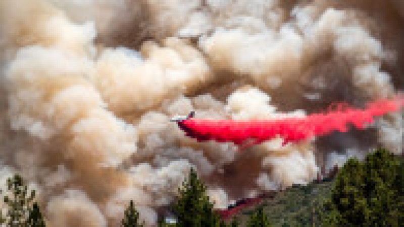 Incendiul, denumit „McKinney Fire”, a distrus peste 20.638 de hectare din Pădurea Naţională Klamath, în apropiere de oraşul Yreka din nordul Californiei Foto: Profimedia Images | Poza 7 din 20