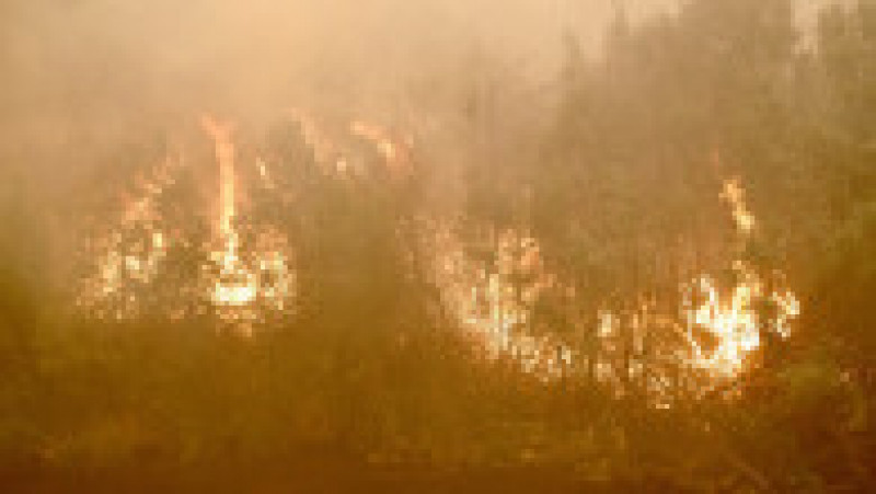 Incendiul din California se extinde atât de rapid, că oamenii nu mai apucă să fugă. FOTO: Profimedia Images | Poza 18 din 23