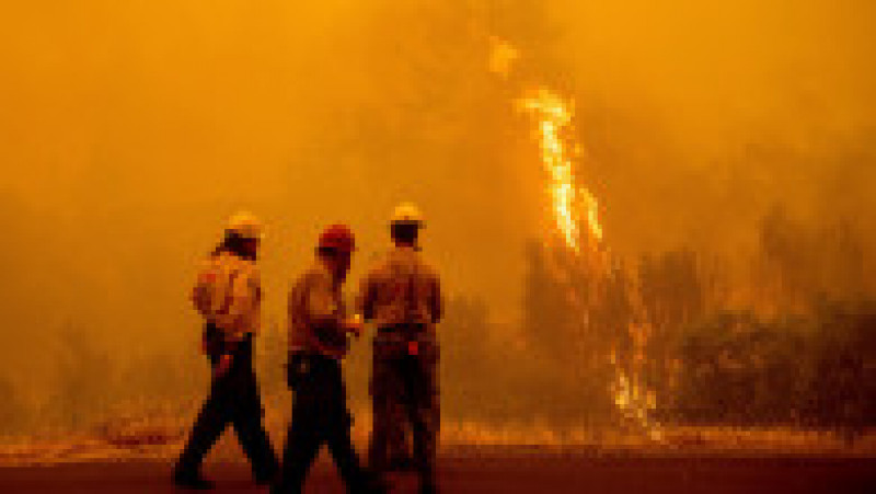 Incendiul din California se extinde atât de rapid, că oamenii nu mai apucă să fugă. FOTO: Profimedia Images | Poza 23 din 23