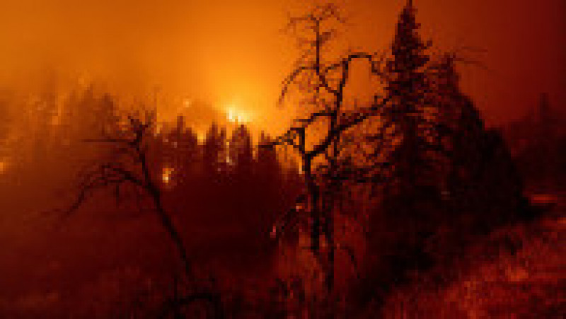 Incendiul din California se extinde atât de rapid, că oamenii nu mai apucă să fugă. FOTO: Profimedia Images | Poza 13 din 23