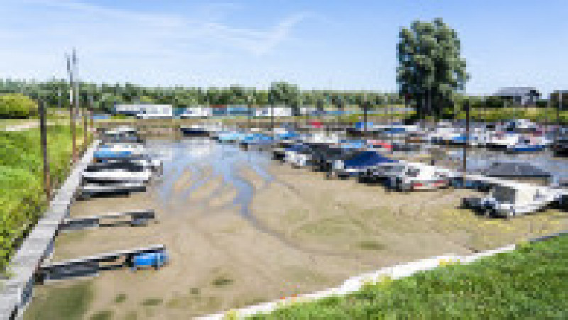 Guvernul Ţărilor de Jos a declarat miercuri penurie de apă ca urmare a unei veri neobişnuit de secetoase şi în absenţa unor prognoze de ploaie pentru următoarele două săptămâni. Foto: Profimedia Images | Poza 1 din 14