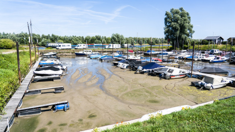 Guvernul Ţărilor de Jos a declarat miercuri penurie de apă ca urmare a unei veri neobişnuit de secetoase şi în absenţa unor prognoze de ploaie pentru următoarele două săptămâni. Foto: Profimedia Images