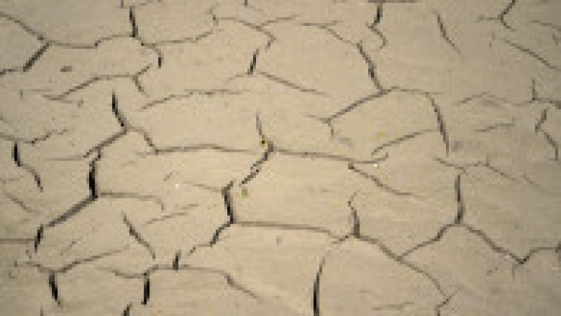 Guvernul Ţărilor de Jos a declarat miercuri penurie de apă ca urmare a unei veri neobişnuit de secetoase şi în absenţa unor prognoze de ploaie pentru următoarele două săptămâni. Foto: Profimedia Images | Poza 6 din 14