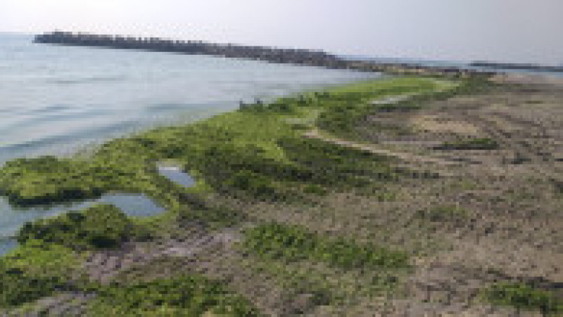 Furtunile au adus pe plajele de pe litoral tone de alge. FOTO: Facebook Apele Române Dobrogea Litoral | Poza 1 din 5