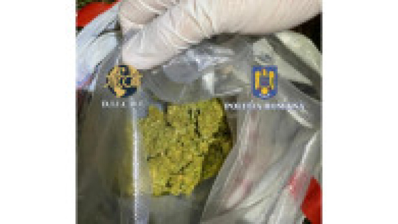 Polițiștii au găsit cocaină, ciuperci halucinogene și cannabis în corturile și mașinile unor participanți la un festival din Harghita. FOTO: Poliția Română | Poza 3 din 7