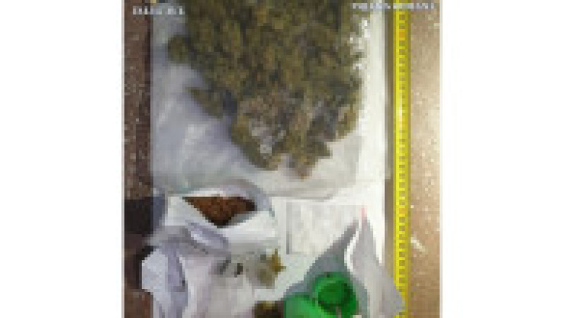Polițiștii au găsit cocaină, ciuperci halucinogene și cannabis în corturile și mașinile unor participanți la un festival din Harghita. FOTO: Poliția Română | Poza 4 din 7