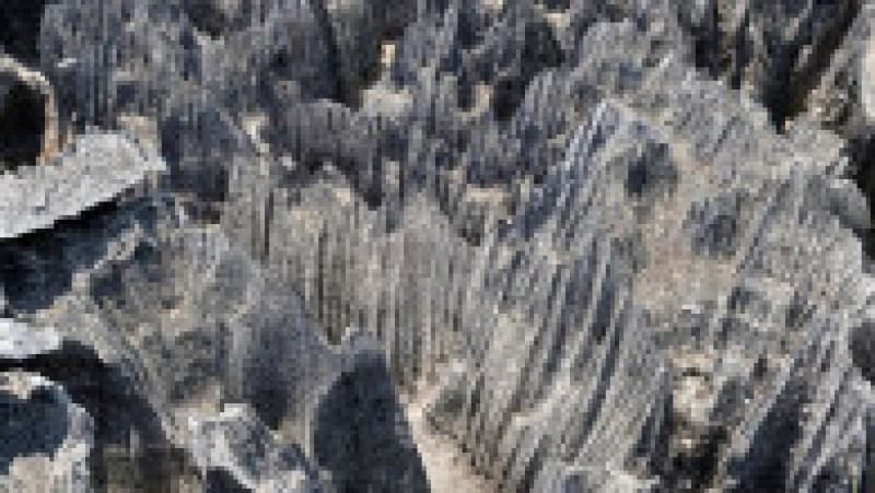 „Turnurile” de piatră din rezervația Tsingy de Bemaraha din Madagascar oferă un peisaj ieșit din comun Foto: Profimedia Images | Poza 4 din 19
