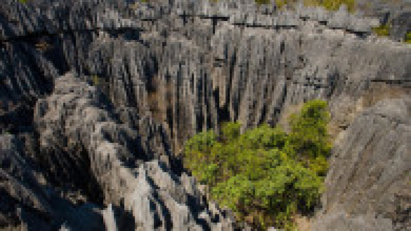 „Turnurile” de piatră din rezervația Tsingy de Bemaraha din Madagascar oferă un peisaj ieșit din comun Foto: Profimedia Images | Poza 3 din 19