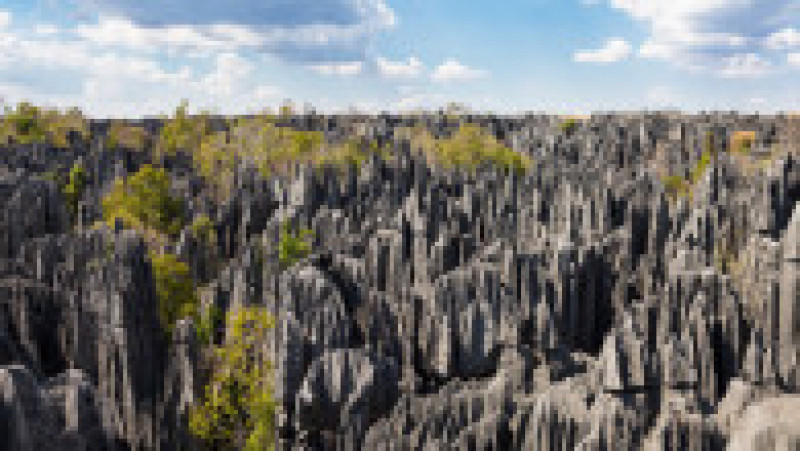 „Turnurile” de piatră din rezervația Tsingy de Bemaraha din Madagascar oferă un peisaj ieșit din comun Foto: Profimedia Images | Poza 11 din 19