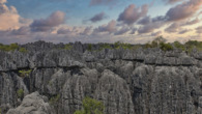 „Turnurile” de piatră din rezervația Tsingy de Bemaraha din Madagascar oferă un peisaj ieșit din comun Foto: Profimedia Images | Poza 7 din 19
