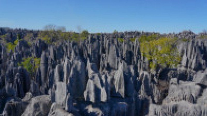 „Turnurile” de piatră din rezervația Tsingy de Bemaraha din Madagascar oferă un peisaj ieșit din comun Foto: Profimedia Images | Poza 9 din 19