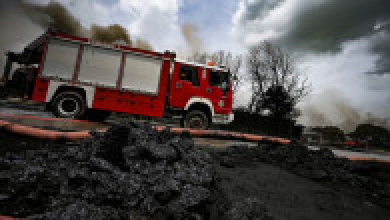 Incendiul a distrus o arie semnificativă. Foto: Profimedia Images | Poza 7 din 14
