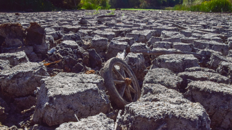 Starea de secetă a fost declarată în Anglia pentru prima dată după anul 2018. Foto: Profimedia