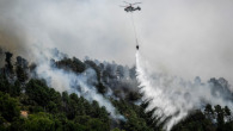 Incendii în parcul național Serra da Estrela din Portugalia. Foto: Profimedia Images | Poza 10 din 20