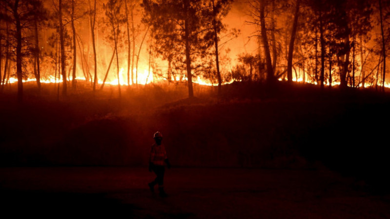 Incendii în parcul național Serra da Estrela din Portugalia. Foto: Profimedia Images