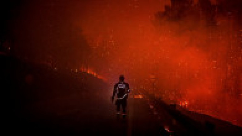 Incendii în parcul național Serra da Estrela din Portugalia. Foto: Profimedia Images | Poza 6 din 20