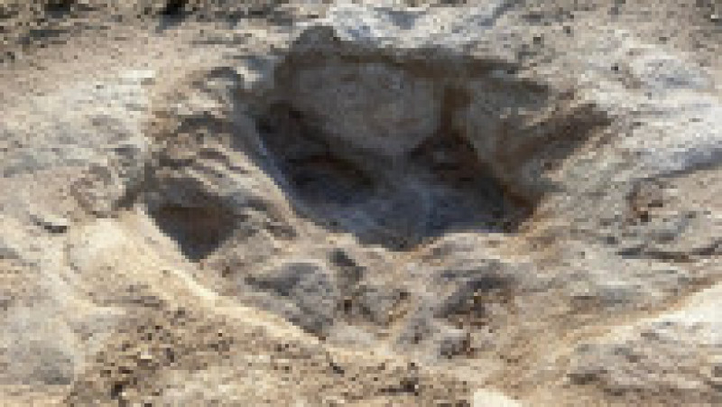 Urme de dinozaur, vechi de 113 milioane de ani, au ieșit la iveală în albia unui râu secat din Texas. Foto: Profimedia | Poza 4 din 4