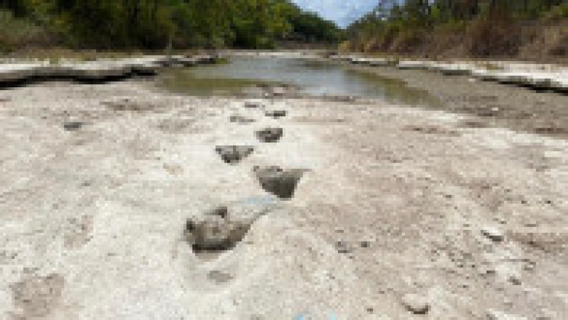 Urme de dinozaur, vechi de 113 milioane de ani, au ieșit la iveală în albia unui râu secat din Texas. Foto: Profimedia | Poza 2 din 4
