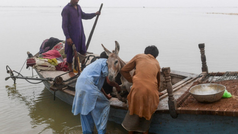 Pakistanul cere ajutor lumii după inundațiile istorice soldate cu 1.000 de morți. FOTO Profimedia Images