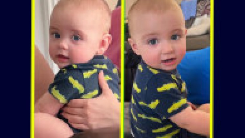 Jax și Jett sunt veri, dar au același bagaj genetic ca frații Foto: Instagram | Poza 6 din 12