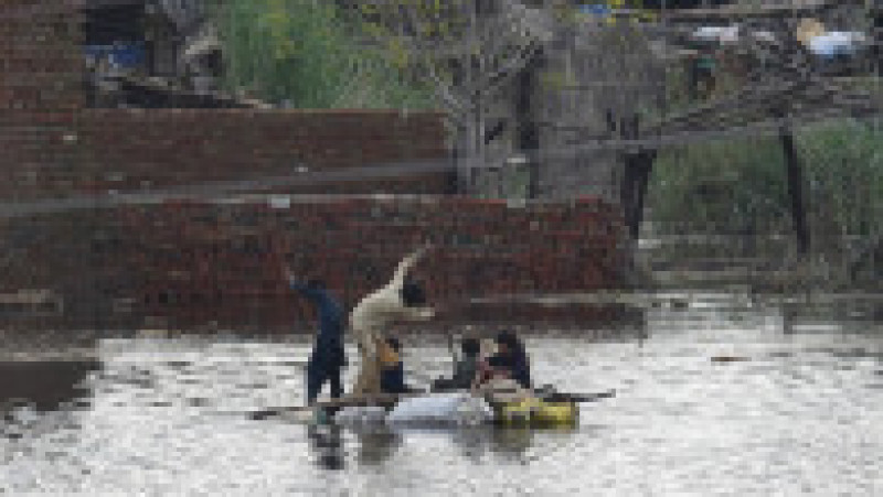 Pakistanul cere ajutor lumii după inundațiile istorice soldate cu 1.000 de morți. FOTO Profimedia Images | Poza 13 din 14