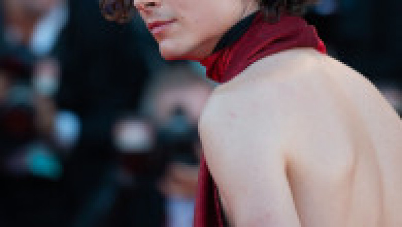 Actorul Timothée Chalamet, la Festivalul de Film de la Veneția 2022 FOTO: Profimedia Images | Poza 5 din 36