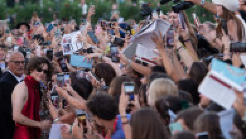 Actorul Timothée Chalamet, la Festivalul de Film de la Veneția 2022 FOTO: Profimedia Images | Poza 11 din 36