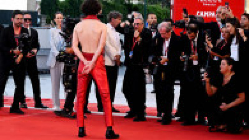 Actorul Timothée Chalamet, la Festivalul de Film de la Veneția 2022 FOTO: Profimedia Images | Poza 13 din 36