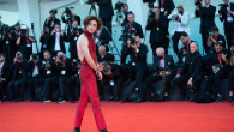 Actorul Timothée Chalamet, la Festivalul de Film de la Veneția 2022 FOTO: Profimedia Images | Poza 3 din 36