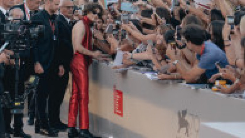 Actorul Timothée Chalamet, la Festivalul de Film de la Veneția 2022 FOTO: Profimedia Images | Poza 27 din 36