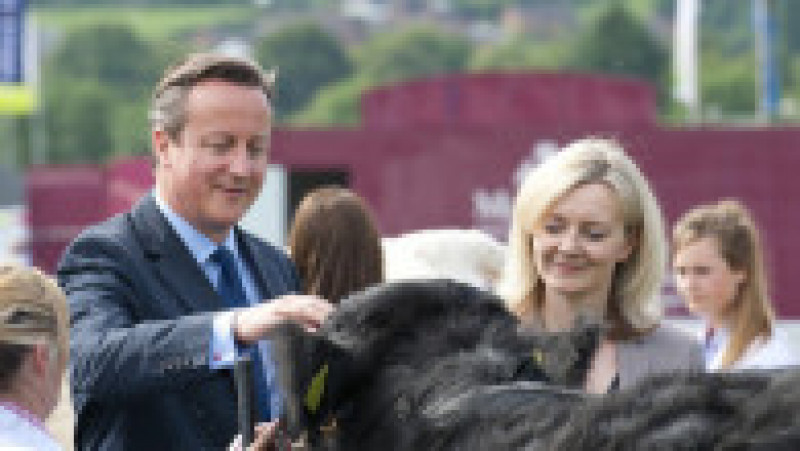 Liz Truss și fostul premier David Cameron, în 2014 Foto: Profimedia Images | Poza 2 din 33