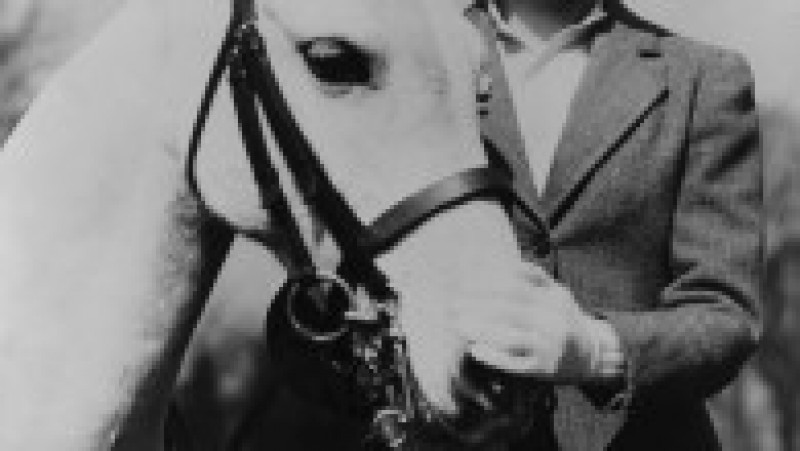 Regina Elisabeta a II-a a cultivat o iubire pentru cai în copilărie, pasiunea a crescut în fiecare an și s-a stins doar odată cu dispariția suveranei. Foto: Profimedia Images | Poza 6 din 27