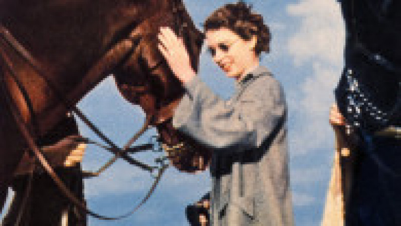 Regina Elisabeta a II-a a cultivat o iubire pentru cai în copilărie, pasiunea a crescut în fiecare an și s-a stins doar odată cu dispariția suveranei. Foto: Profimedia Images | Poza 9 din 27