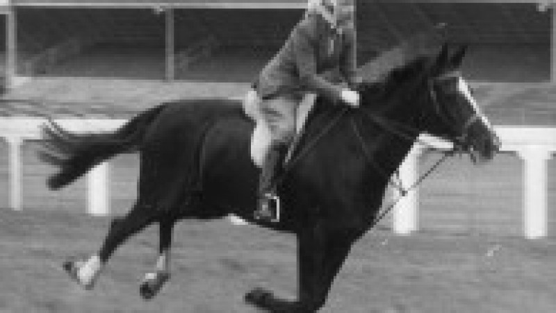Regina Elisabeta a II-a a cultivat o iubire pentru cai în copilărie, pasiunea a crescut în fiecare an și s-a stins doar odată cu dispariția suveranei. Foto: Profimedia Images | Poza 14 din 27