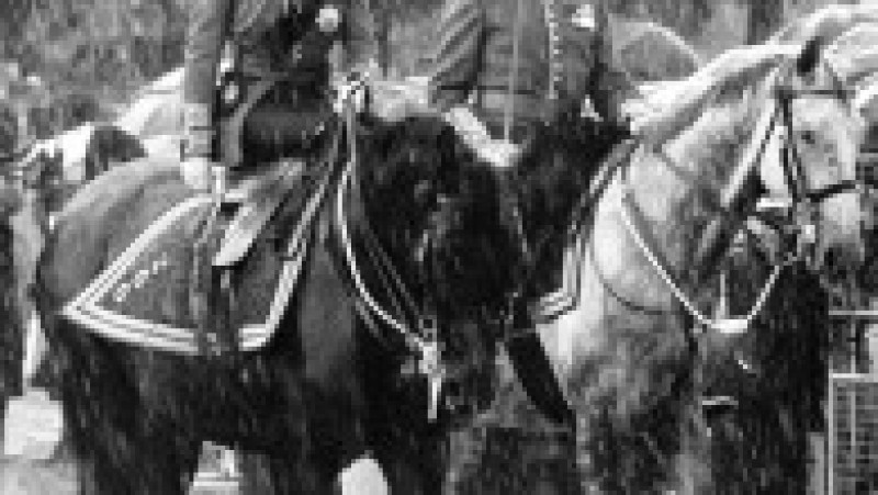 Regina Elisabeta a II-a a cultivat o iubire pentru cai în copilărie, pasiunea a crescut în fiecare an și s-a stins doar odată cu dispariția suveranei. Foto: Profimedia Images | Poza 11 din 27