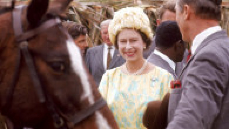 Regina Elisabeta a II-a a cultivat o iubire pentru cai în copilărie, pasiunea a crescut în fiecare an și s-a stins doar odată cu dispariția suveranei. Foto: Profimedia Images | Poza 16 din 27