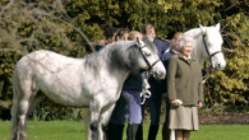 Regina Elisabeta a II-a a cultivat o iubire pentru cai în copilărie, pasiunea a crescut în fiecare an și s-a stins doar odată cu dispariția suveranei. Foto: Profimedia Images | Poza 22 din 27