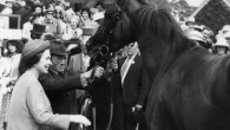 Regina Elisabeta a II-a a cultivat o iubire pentru cai în copilărie, pasiunea a crescut în fiecare an și s-a stins doar odată cu dispariția suveranei. Foto: Profimedia Images | Poza 12 din 27